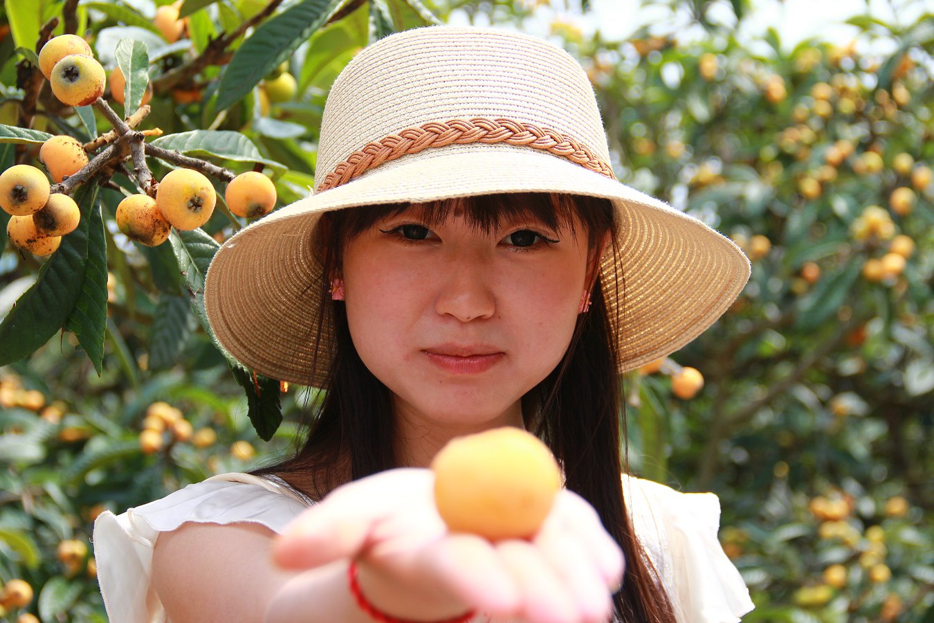 凤凰山下车友会自驾游第11期枇杷之旅美女最多的一次本群6朵群花全部