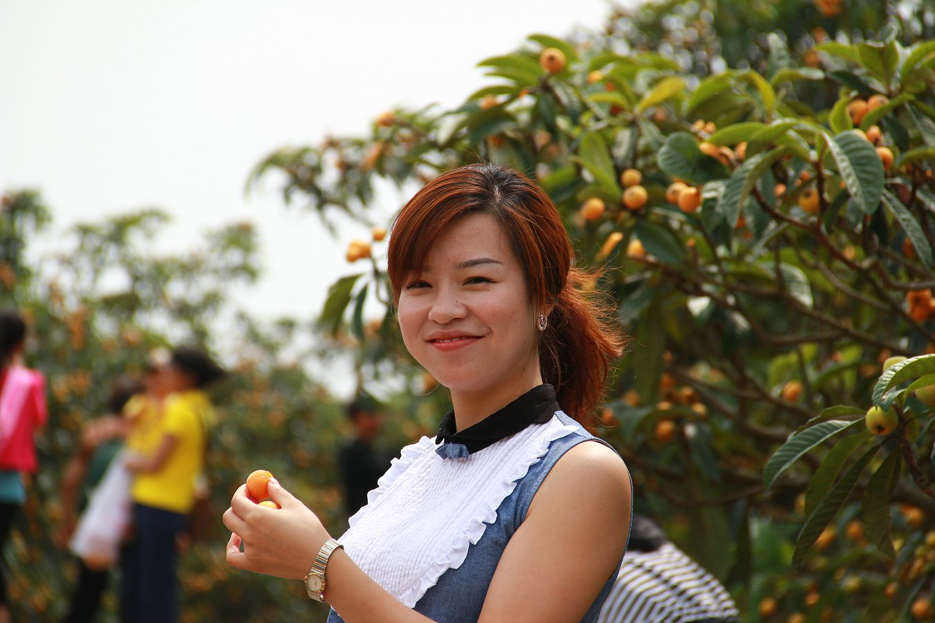 凤凰山下车友会自驾游第11期枇杷之旅美女最多的一次本群6朵群花全部