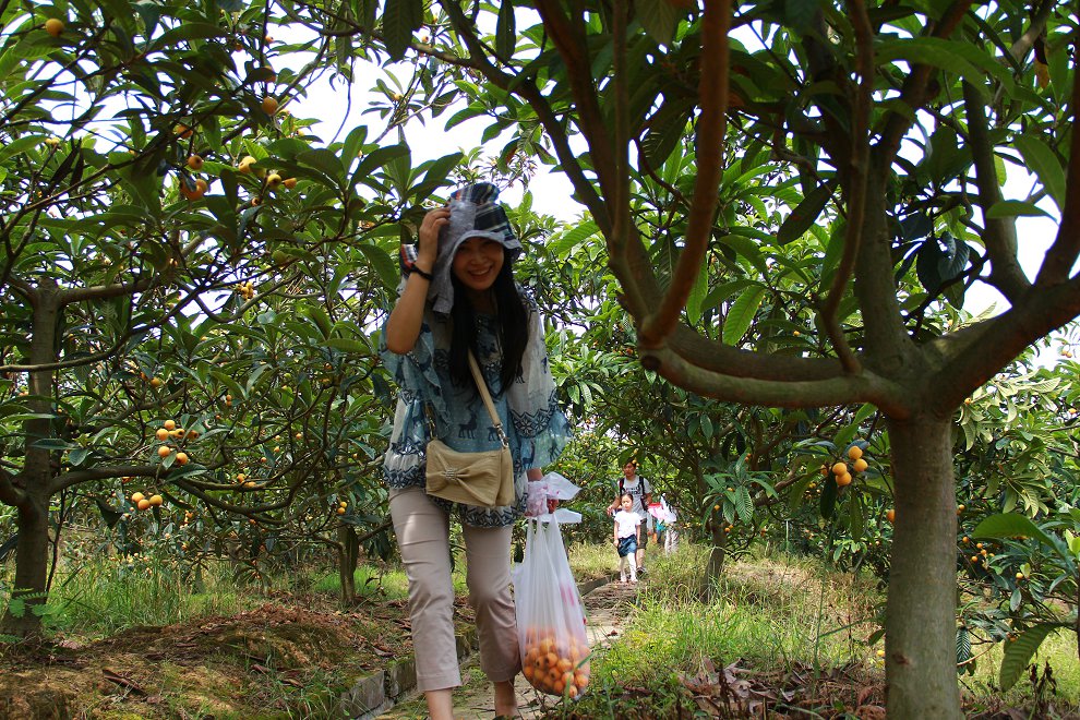 凤凰山下车友会自驾游第11期枇杷之旅美女最多的一次本群6朵群花全部