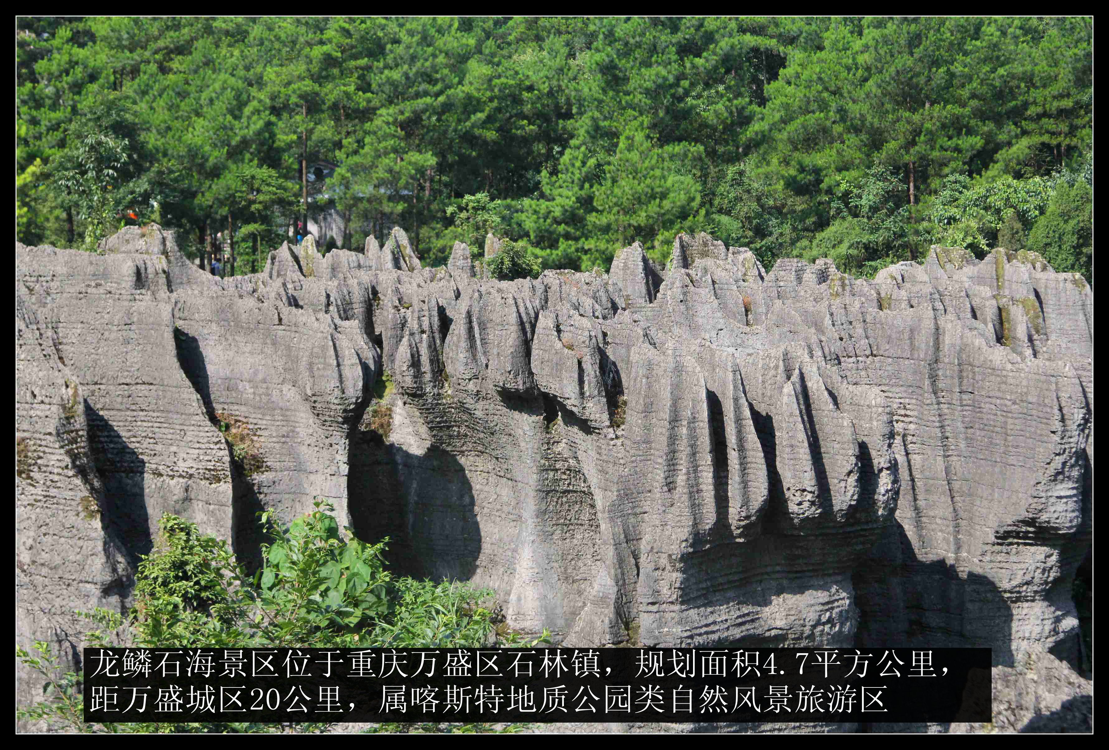 凤凰山下车友会自驾游第33期——走进重庆避暑圣地黑山谷,龙鳞石海