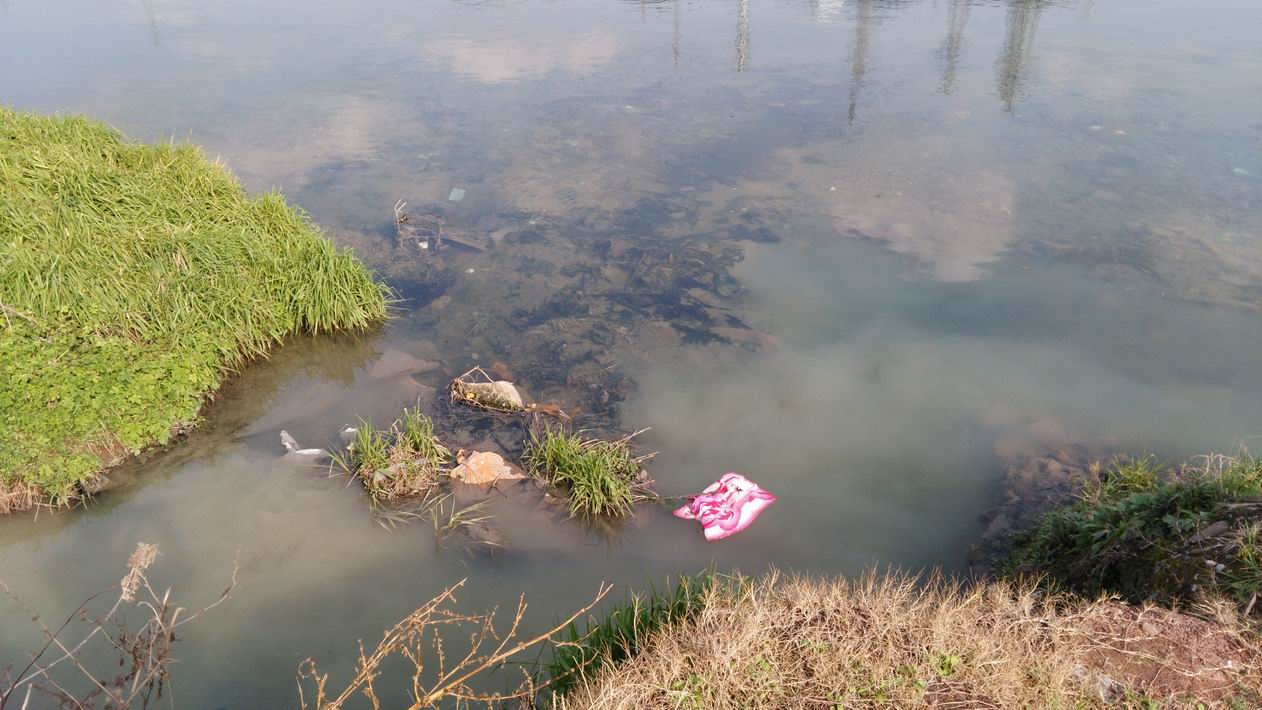 州河主城区上段生活污水直排集"锦"