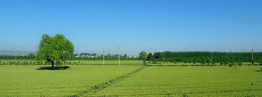 北方平原风光