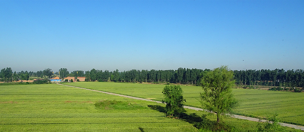 北方平原风光