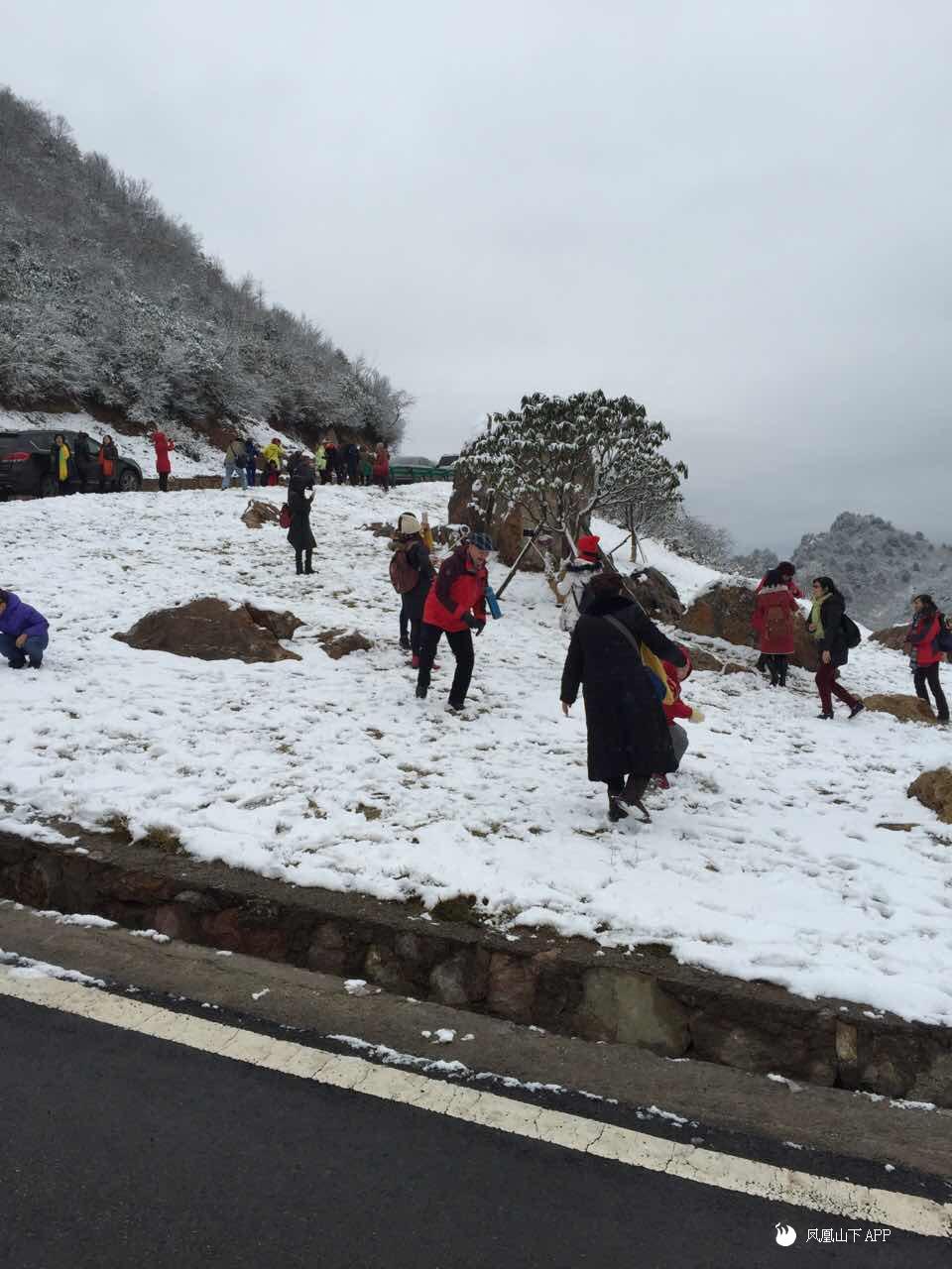 万源八台山雪景一日游