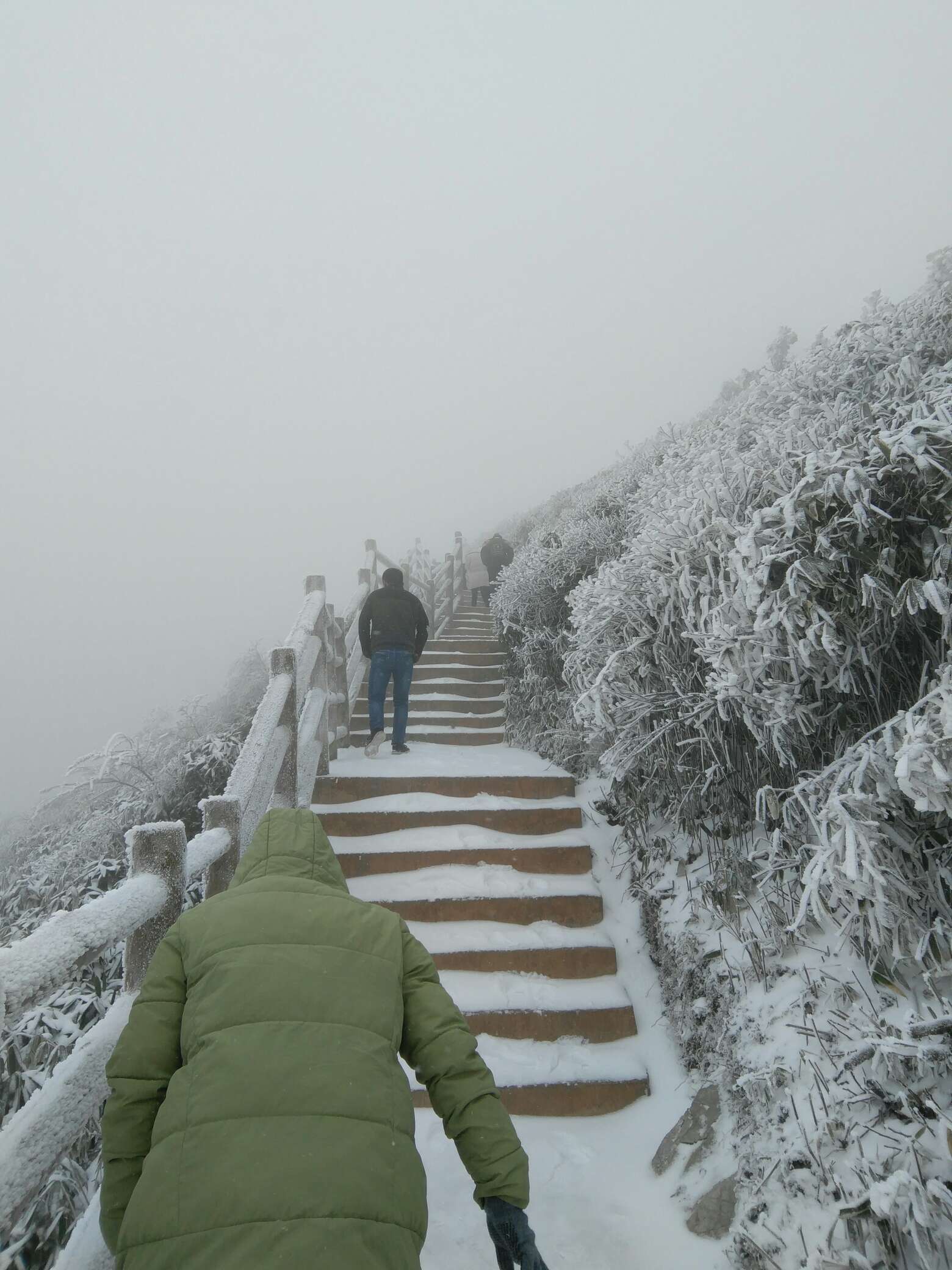 八台山下雪了吗?