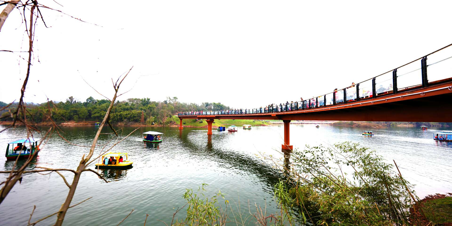 大美达州之莲花湖湿地公园