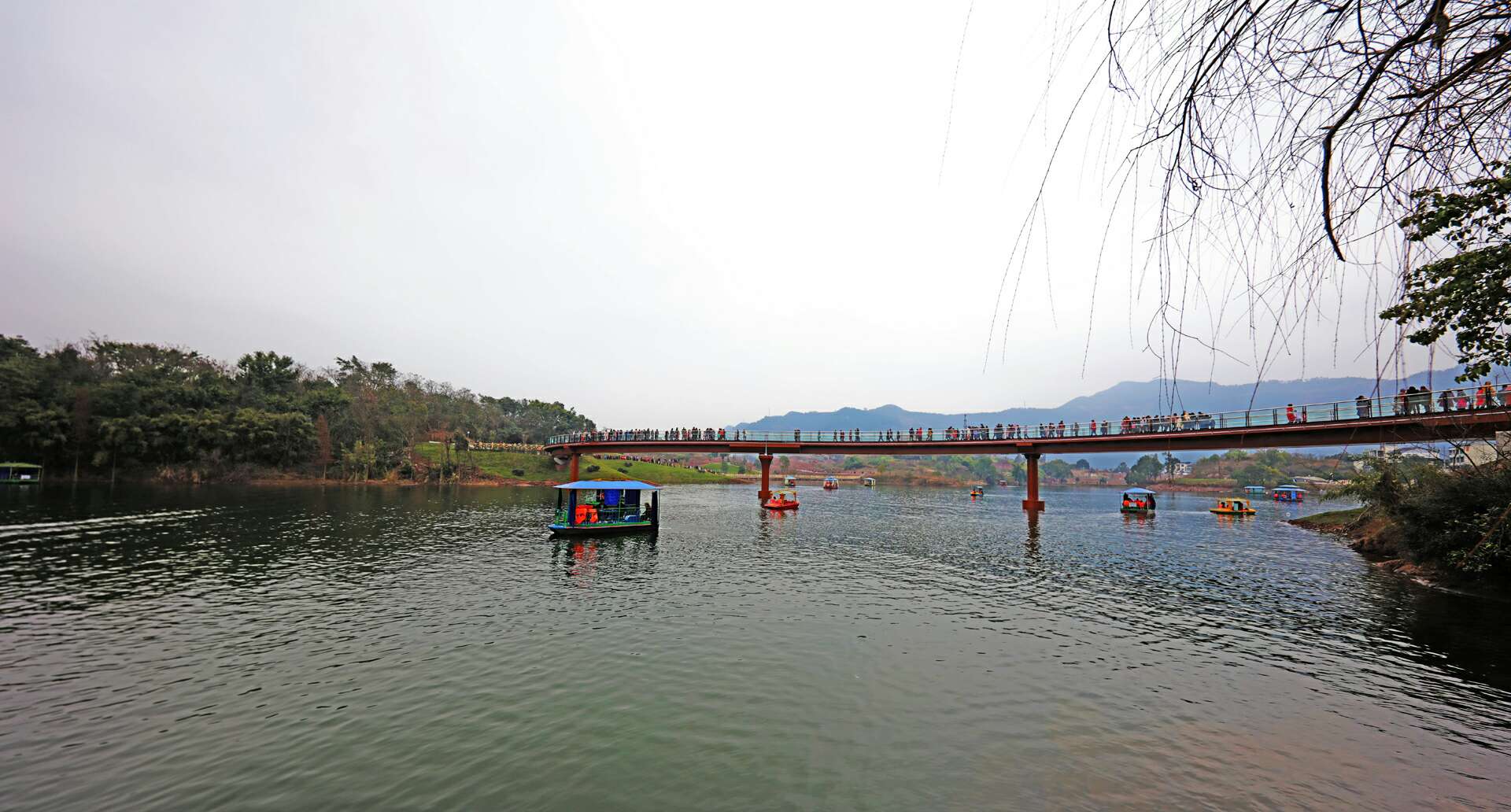 大美达州之莲花湖湿地公园