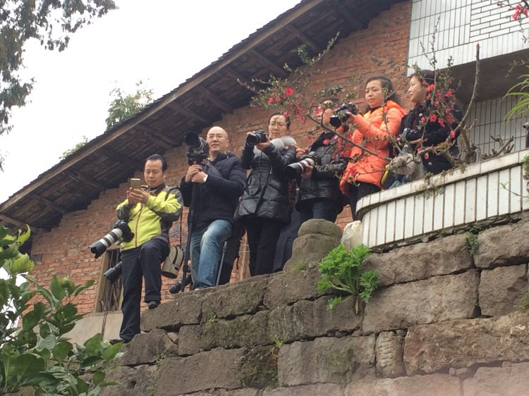 通川区东岳采风