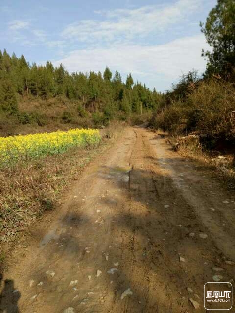 户户通水泥路国家政策