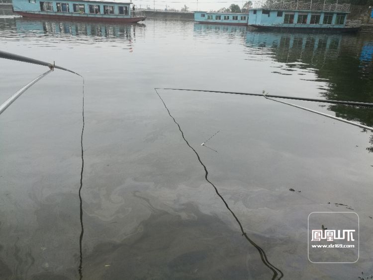 莲花湖水面油污