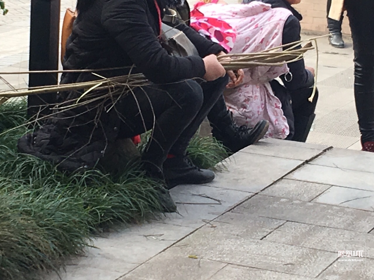 新春踏青,这些不文明行为该休矣