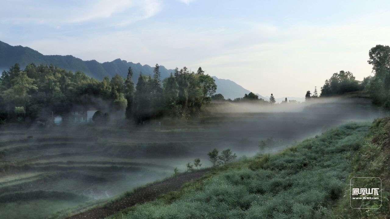 山间晨雾