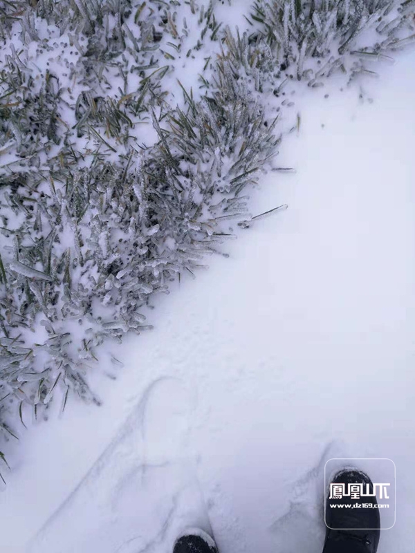 下雪啦!万源八台山迎2018年初冬首场大雪(视频 组图)