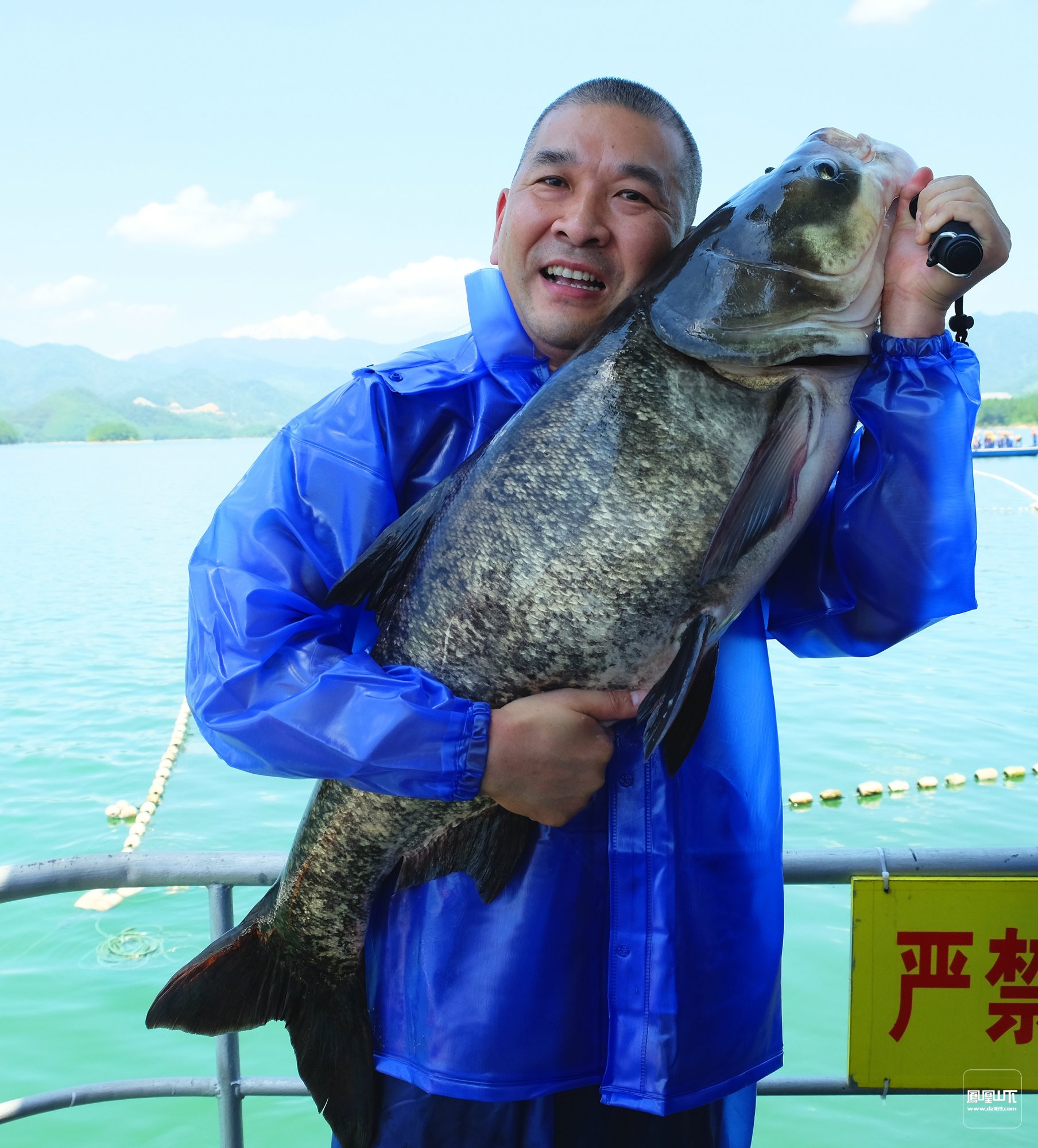 (老地方董事长符波亲自参与千岛湖有机鱼捕捞)