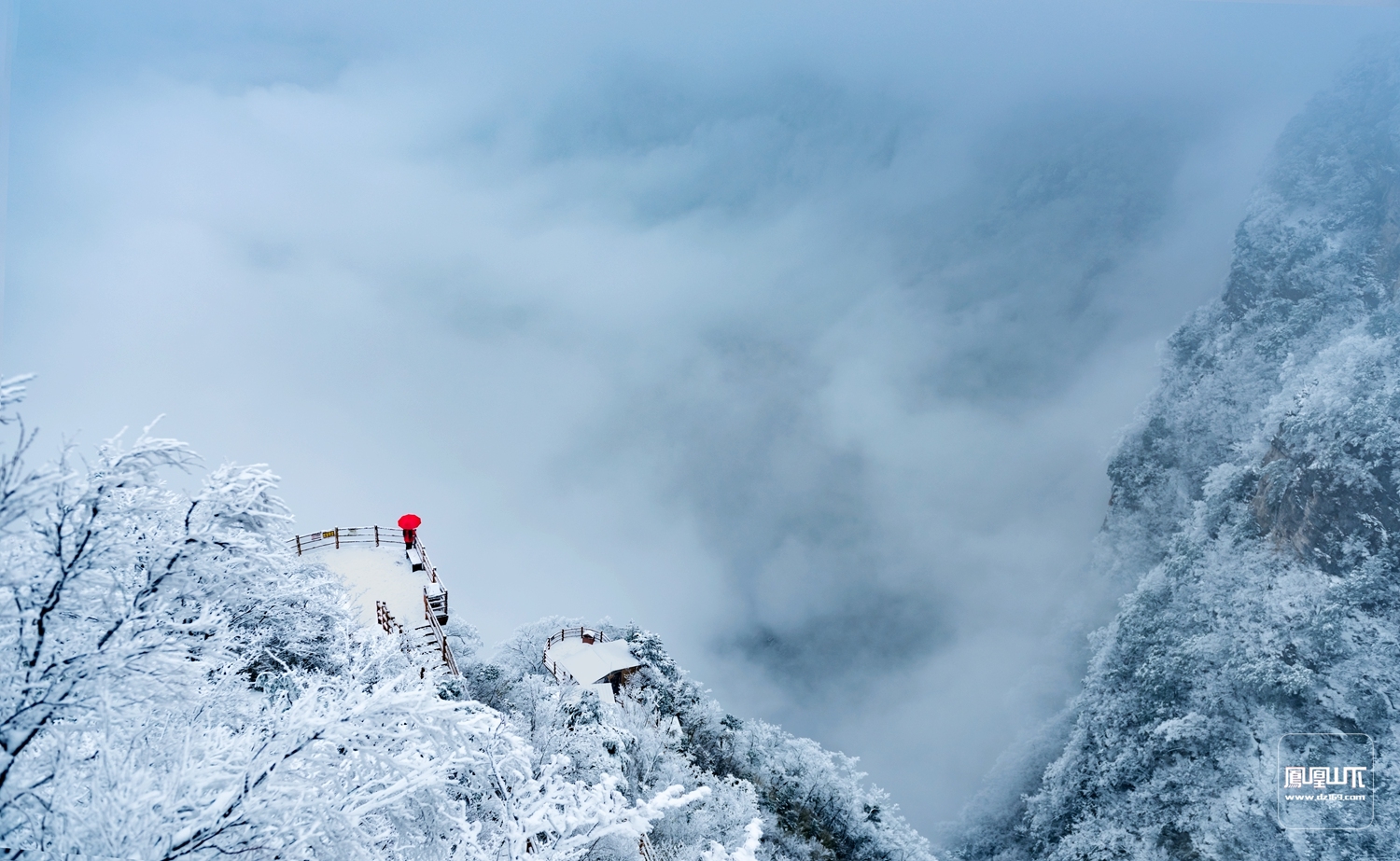 新年首帖-八台山雪 达州摄影 凤凰山下 powered by discuz!