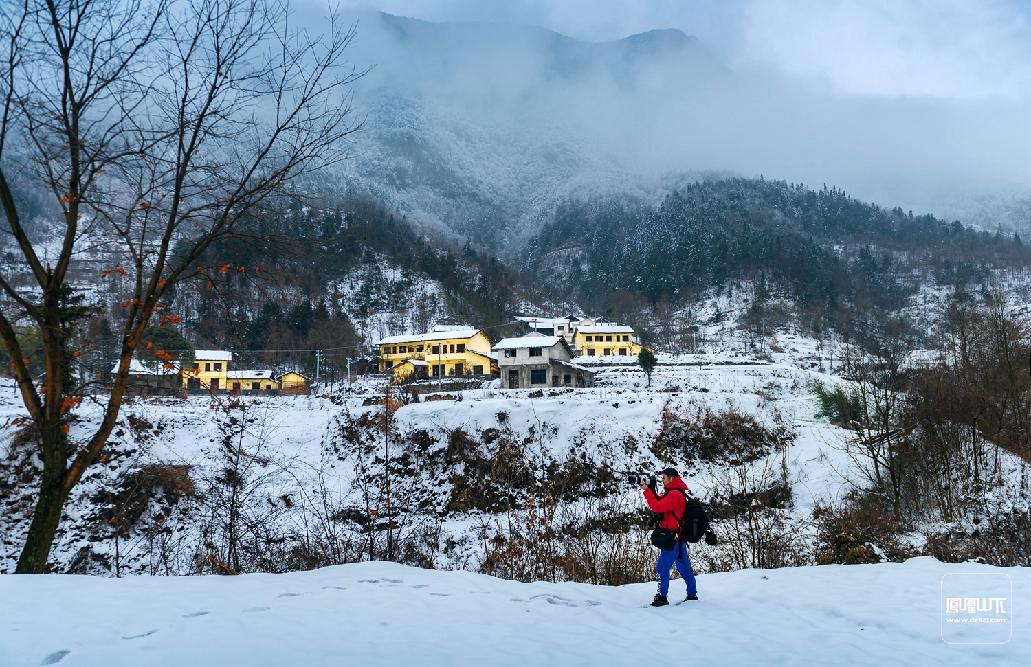 万源梨树乡蒿坝横山子雪景