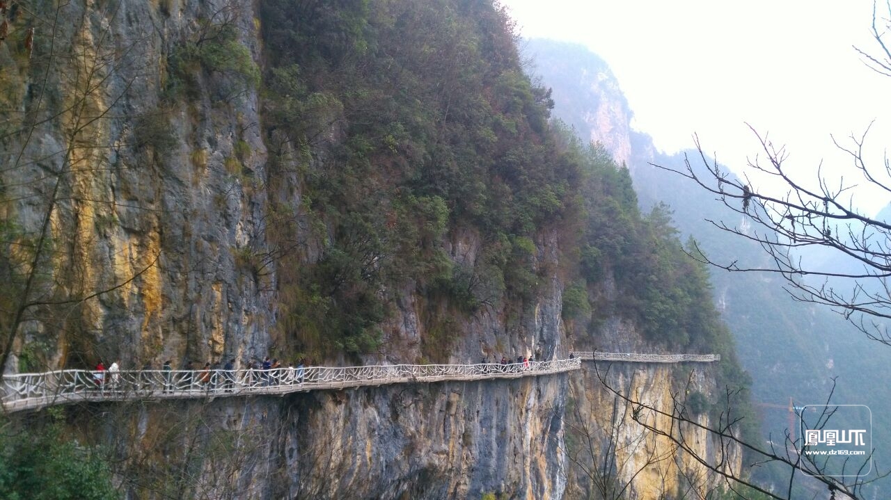 巴山大峡谷的山,谷,洞(超多图 今日达州 凤凰山下 powered by