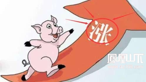 肉一涨价,搞笑漫画也层出不穷!/看后猪儿漫画接着欣赏