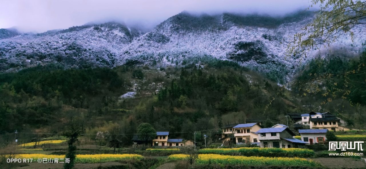 春分雪(拍摄地点:万源市横山子村 达州摄影 凤凰山下 powered