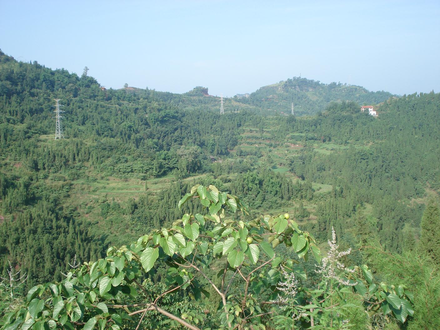 一個真實的達縣石梯鎮磨山村