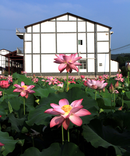 川东小平原开江宝塔坝