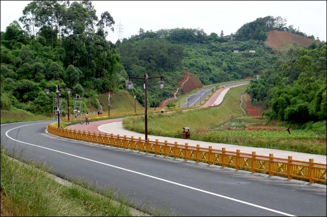 達州高層決策者能否為達州人民建一條這樣的綠色環線專用人行運動道路