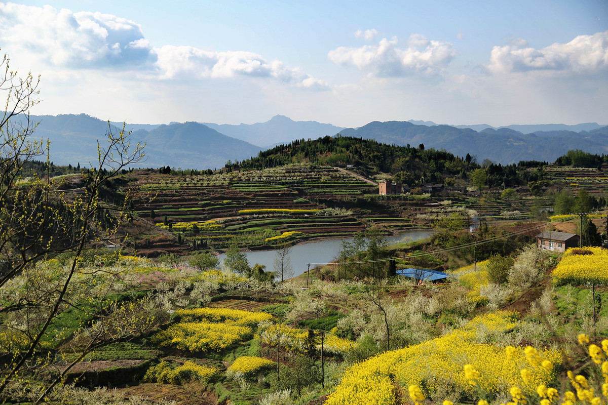 再拍田家塝