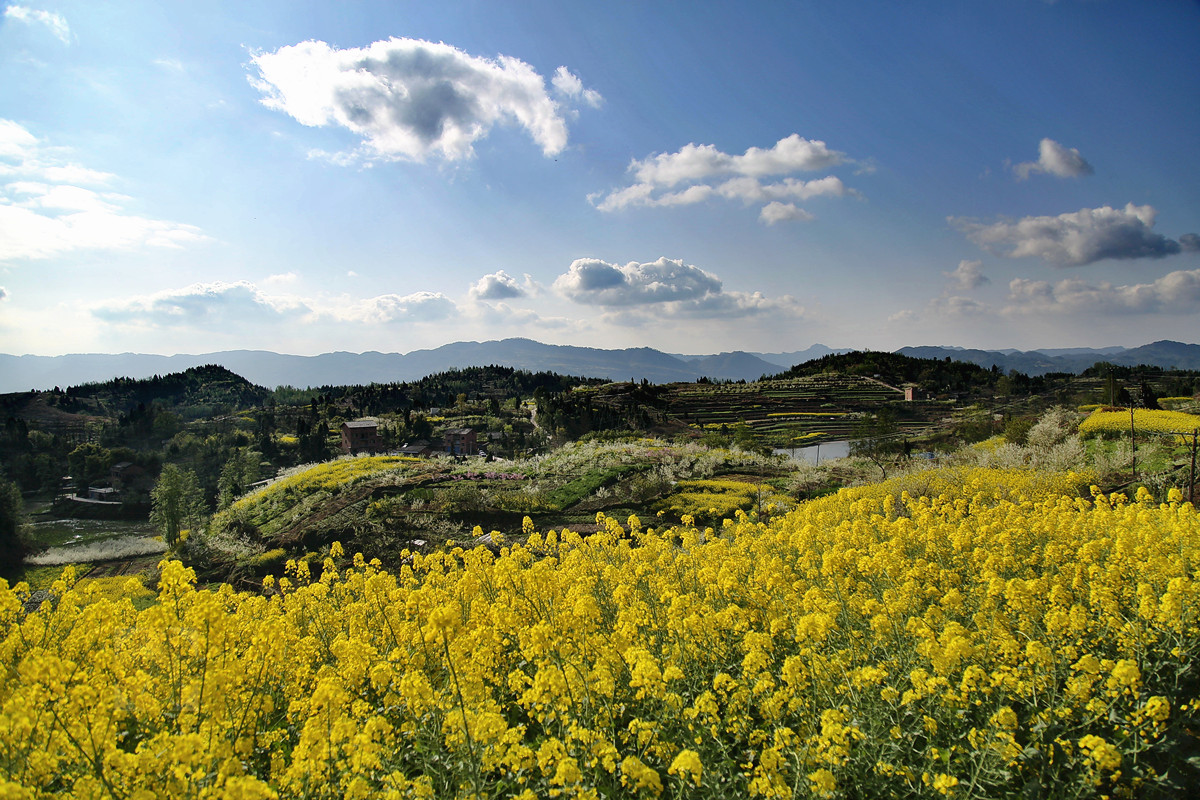 再拍田家塝