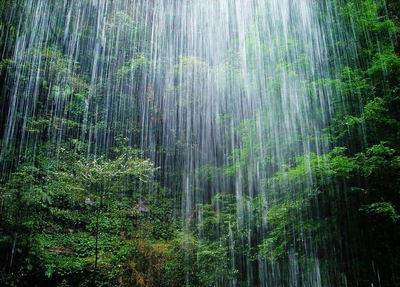 雅安雨图片