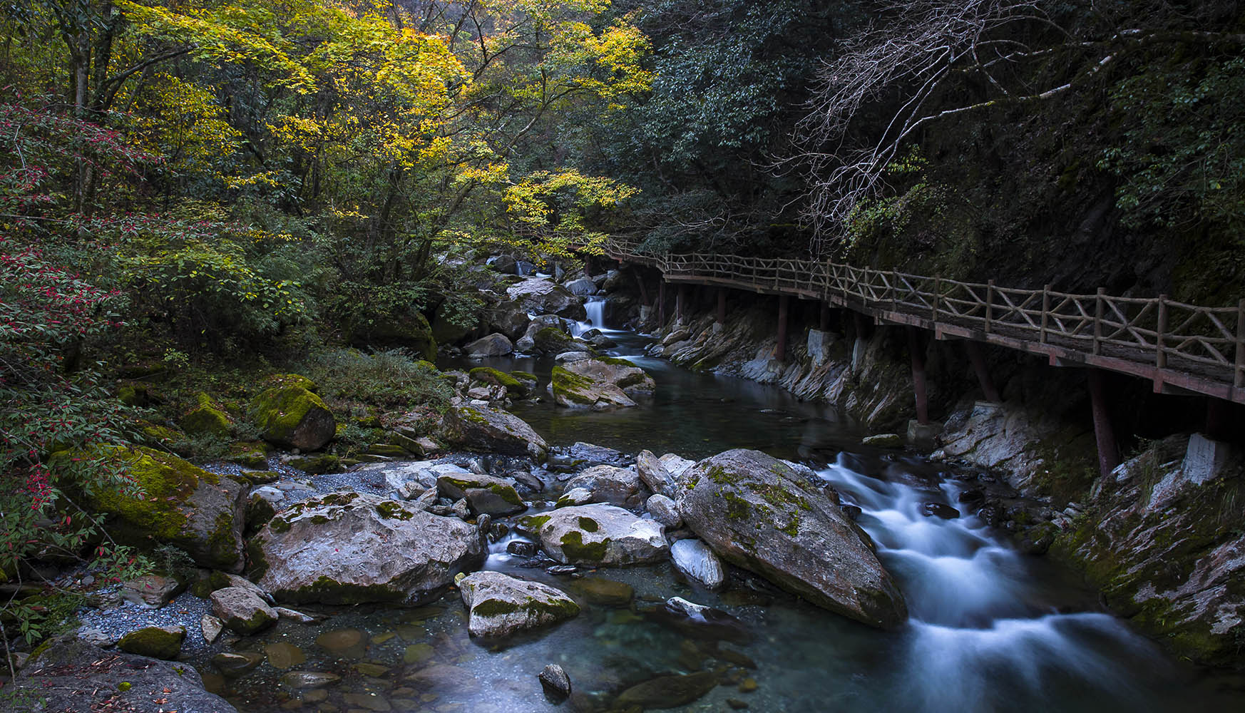 千層河小拍