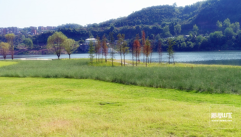 达州塔沱湿地公园图片