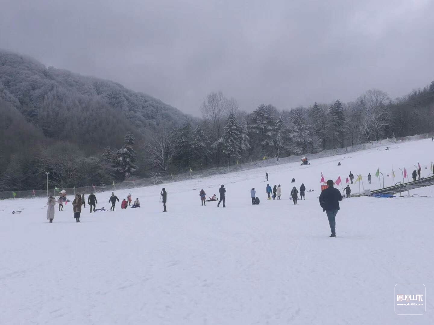 滑雪、玩雪、赏雪的好地方光雾山!跟团一日游