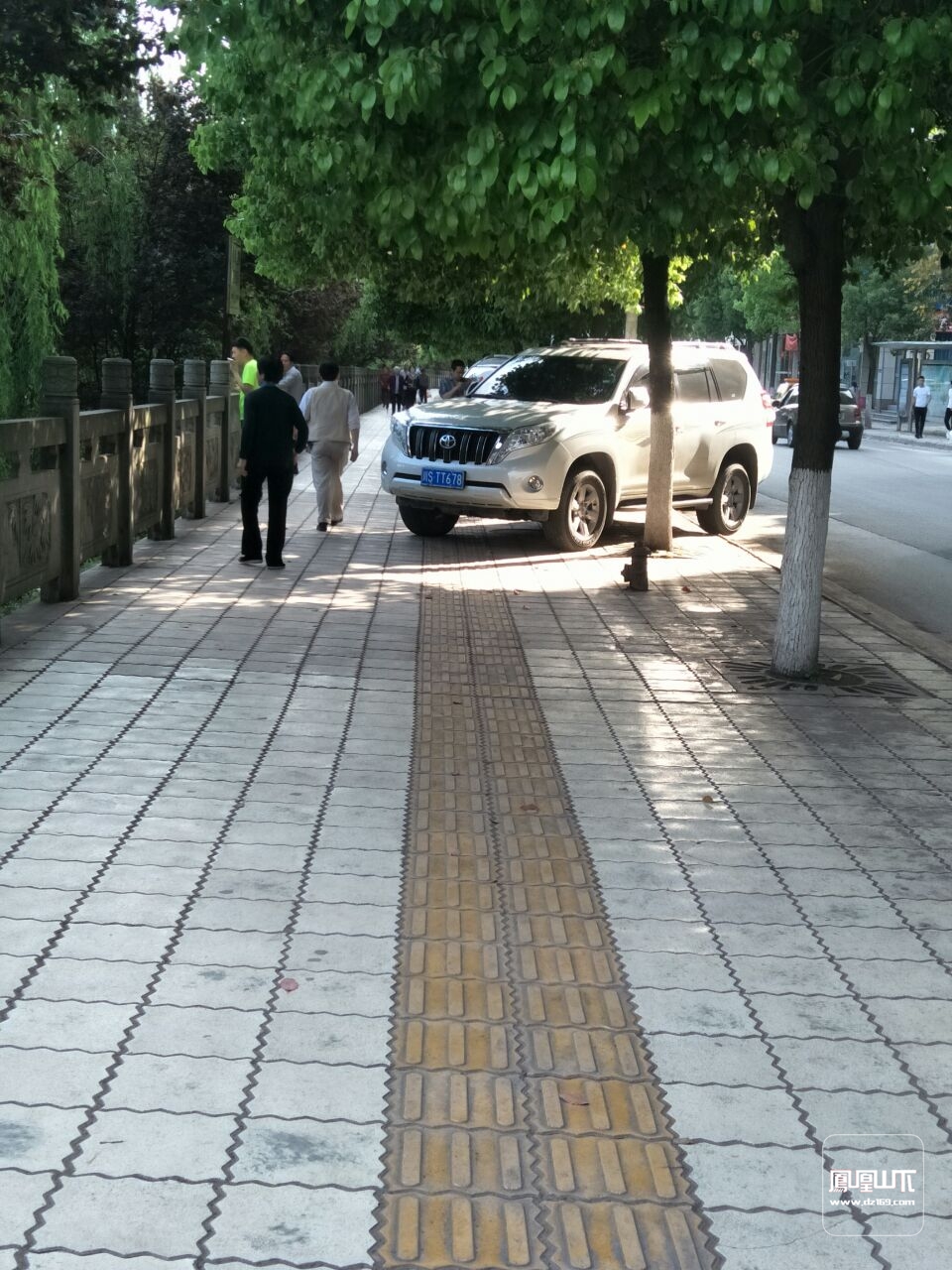 滨江风景外面人行横道成了这些人的专用停车位