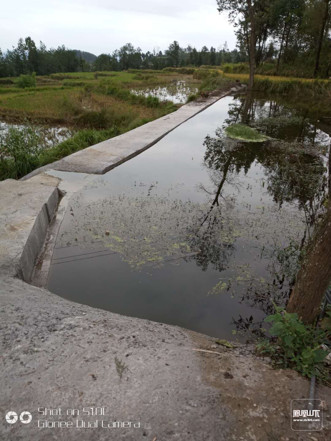 达州给贫困村修的是堰塘,还是水池