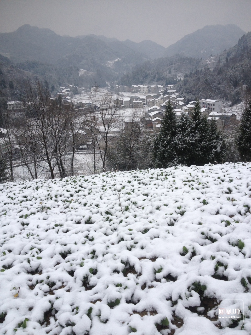 下雪农村山上图片图片