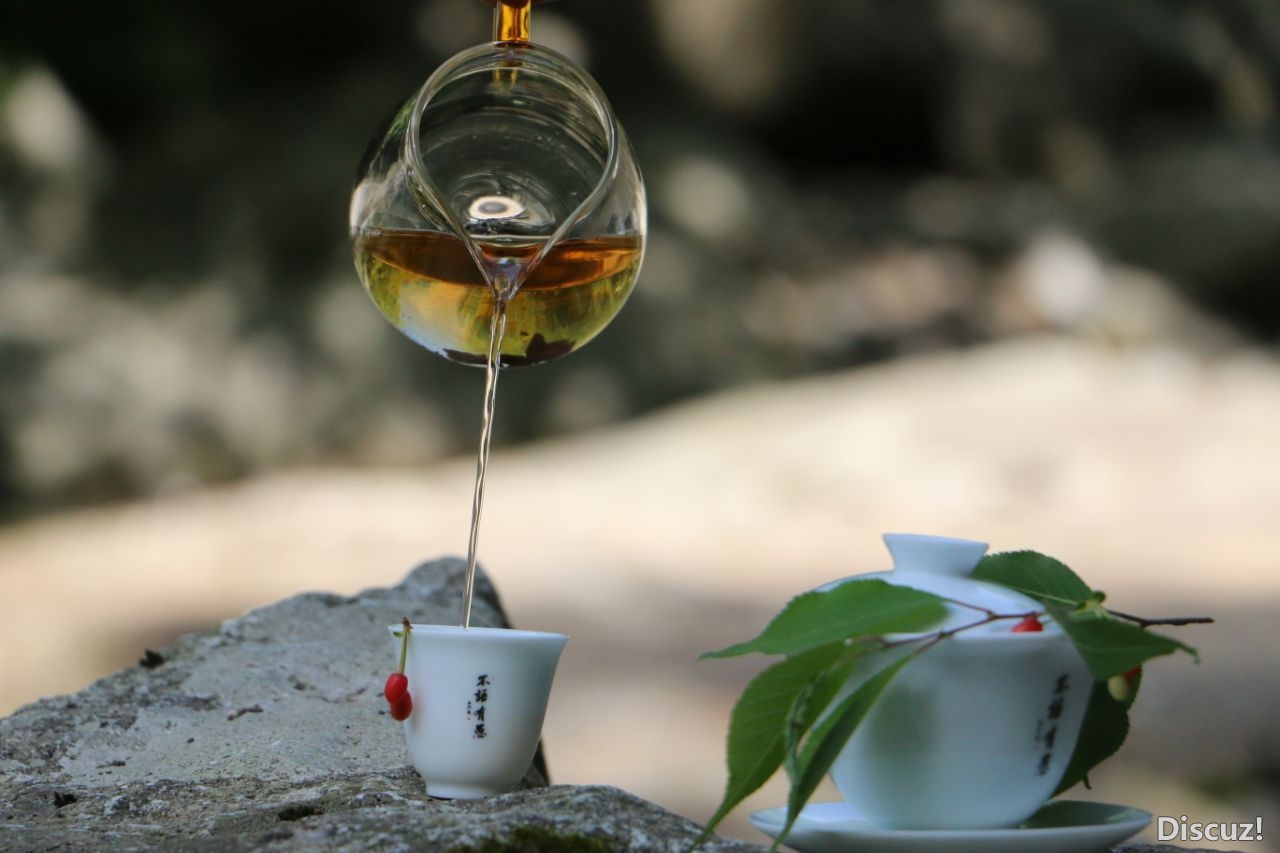 简单喝茶风景安逸哟