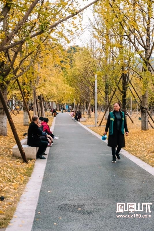 达州城内人口_达州芦城寺景点