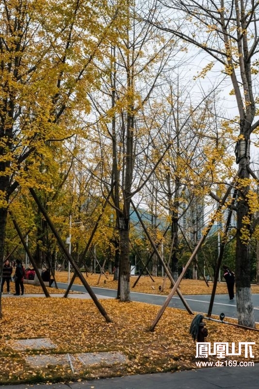 达州城内人口_达州芦城寺景点