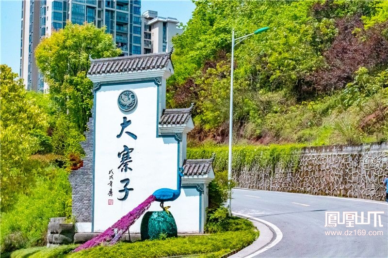 大寨子公園鮮花盛開,整條路上全都是.